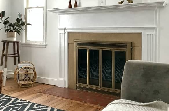 Ashes clean fireplace doors 