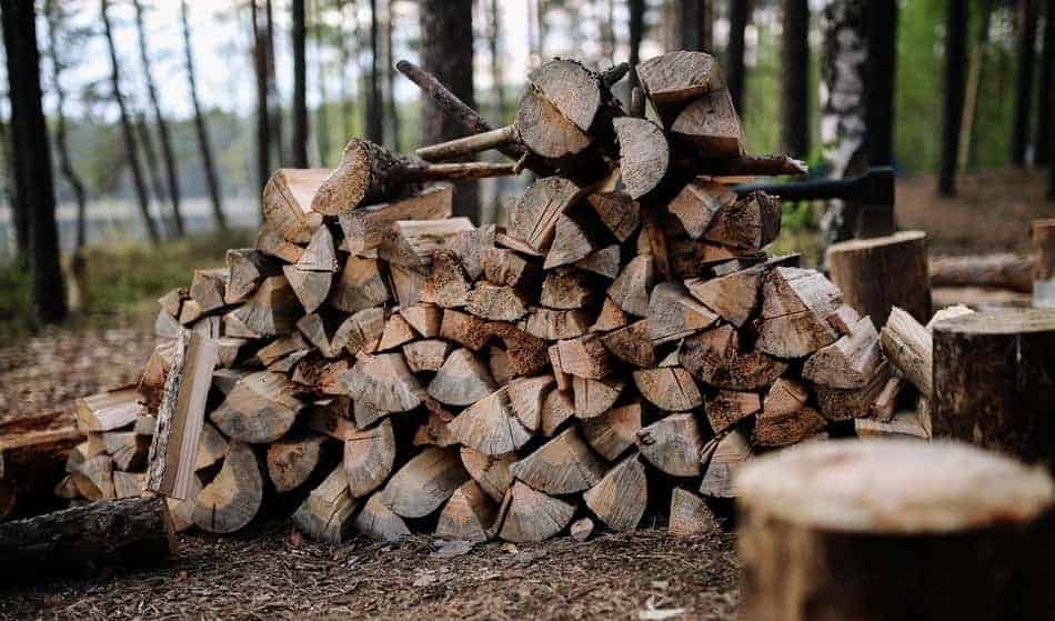 HOW TO BUY THE BEST FIREWOOD