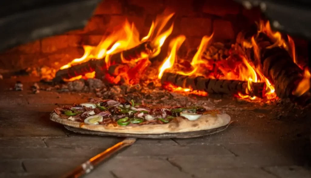 Wood-fired pizza oven