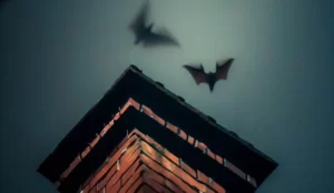 Chimney Bats
